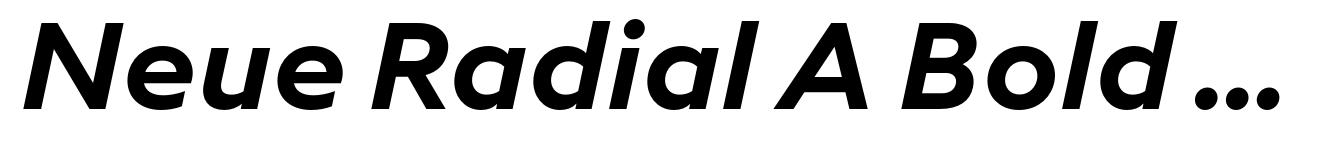 Neue Radial A Bold Italic